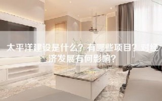 太平洋建设是什么？有哪些项目？对经济发展有何影响？