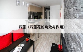 石莲（石莲花的功效与作用）