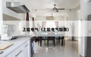 上能电气（上能电气股票）