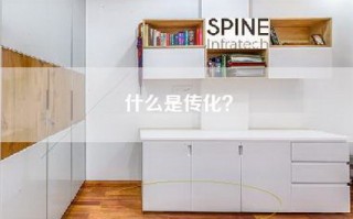 什么是传化？