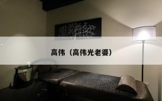 高伟（高伟光老婆）