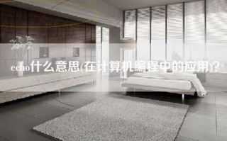 echo什么意思(在计算机编程中的应用)？