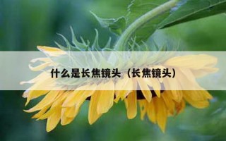 什么是长焦镜头（长焦镜头）