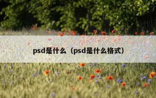 psd是什么（psd是什么格式）