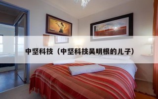 中坚科技（中坚科技吴明根的儿子）