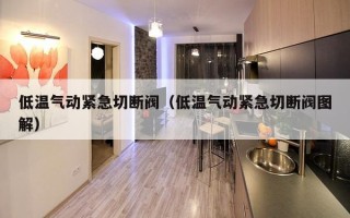 低温气动紧急切断阀（低温气动紧急切断阀图解）