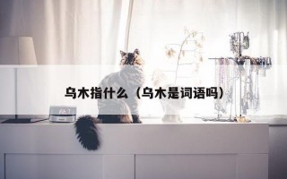 乌木指什么（乌木是词语吗）