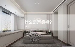 什么是万德福？