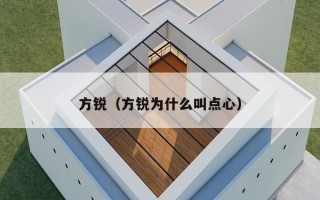 方锐（方锐为什么叫点心）