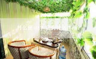 什么是ALC？它有什么作用？