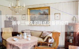 新华三领先的网络设备供应商