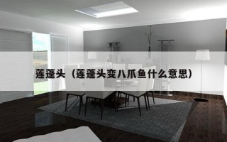 莲蓬头（莲蓬头变八爪鱼什么意思）