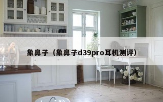 象鼻子（象鼻子d39pro耳机测评）