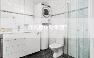 什么是中财集团？