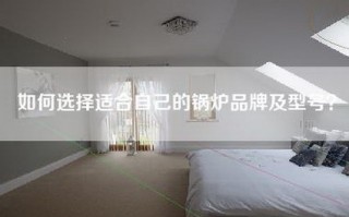 如何选择适合自己的锅炉品牌及型号？