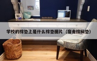 学校的棕垫上是什么棕垫图片（宿舍棕榈垫）