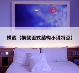 横截（横截面式结构小说特点）