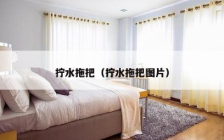 拧水拖把（拧水拖把图片）