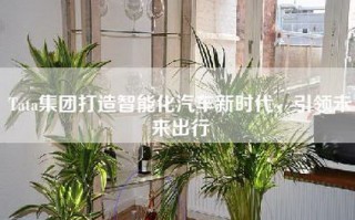 Tata集团打造智能化汽车新时代，引领未来出行