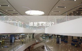 谁是王志远？