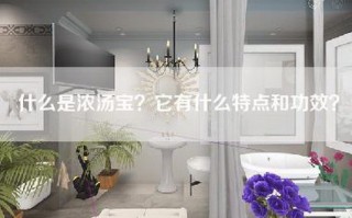 什么是浓汤宝？它有什么特点和功效？