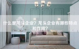 什么是龙头企业？龙头企业有哪些特点和作用？