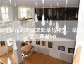 探寻草花的美丽之处草花种类、草花园艺、草花DIY