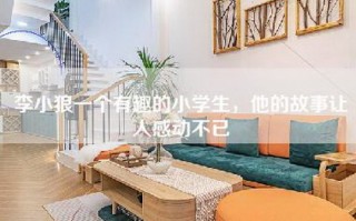 李小狼一个有趣的小学生，他的故事让人感动不已