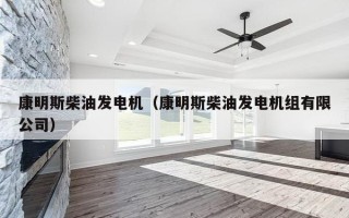 康明斯柴油发电机（康明斯柴油发电机组有限公司）