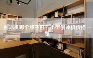刨冰机哪个牌子好？小型刨冰机价格一览