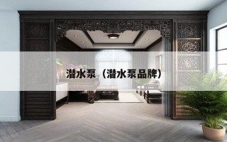 潜水泵（潜水泵品牌）