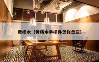 黄杨木（黄杨木手把件怎样盘玩）