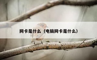 网卡是什么（电脑网卡是什么）