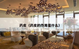 药皮（药皮的作用是什么）