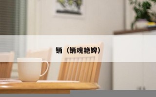 销（销魂艳婢）
