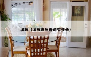 溪石（溪石斑鱼寿命有多长）
