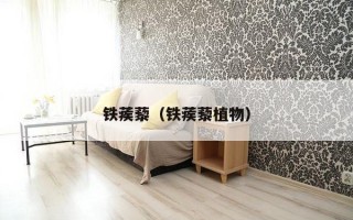 铁蒺藜（铁蒺藜植物）