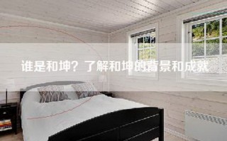 谁是和坤？了解和坤的背景和成就