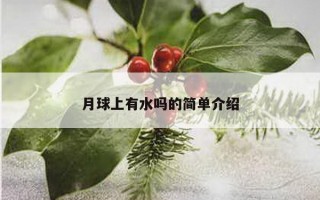 月球上有水吗的简单介绍