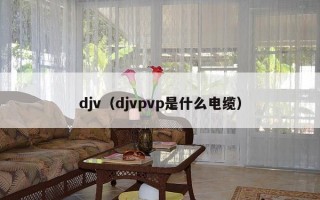 djv（djvpvp是什么电缆）