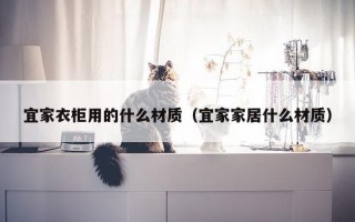 宜家衣柜用的什么材质（宜家家居什么材质）