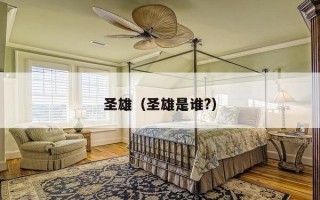 圣雄（圣雄是谁?）
