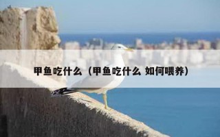 甲鱼吃什么（甲鱼吃什么 如何喂养）