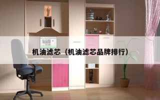 机油滤芯（机油滤芯品牌排行）