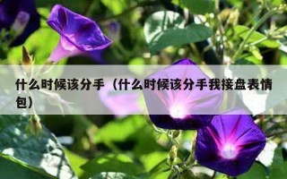 什么时候该分手（什么时候该分手我接盘表情包）