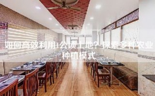 如何高效利用1公顷土地？探索多种农业种植模式