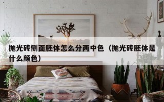 抛光砖侧面胚体怎么分两中色（抛光砖胚体是什么颜色）