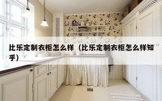 比乐定制衣柜怎么样（比乐定制衣柜怎么样知乎）