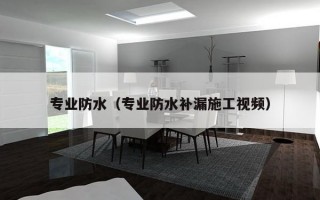 专业防水（专业防水补漏施工视频）