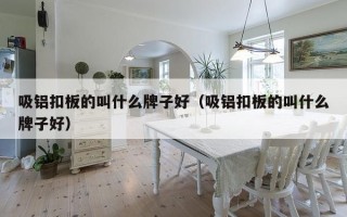 吸铝扣板的叫什么牌子好（吸铝扣板的叫什么牌子好）